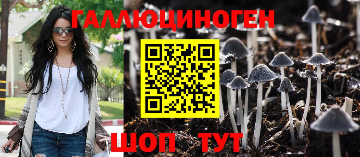 Галлюциногенные грибы мицелий  Вход с VPN  наркошоп  Каспийск 