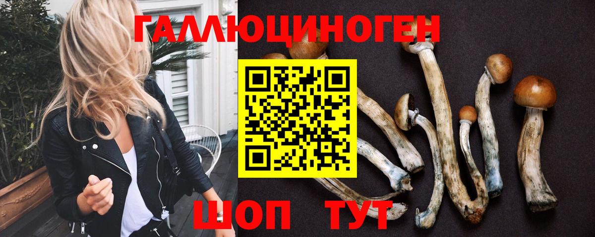 Псилоцибиновые грибы Psilocybe Каспийск